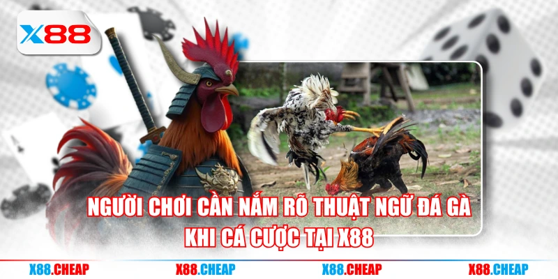 Người chơi cần nắm rõ thuật ngữ đá gà khi cá cược tại X88